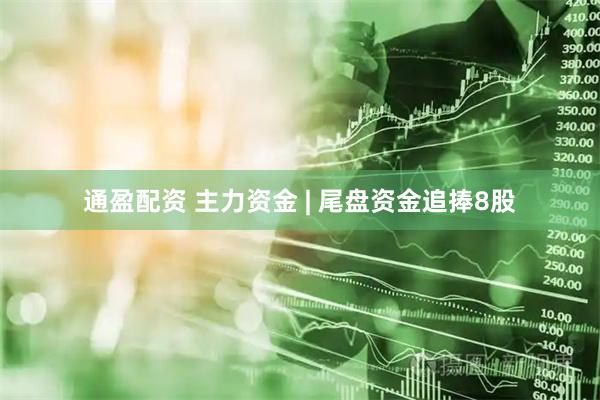 通盈配资 主力资金 | 尾盘资金追捧8股