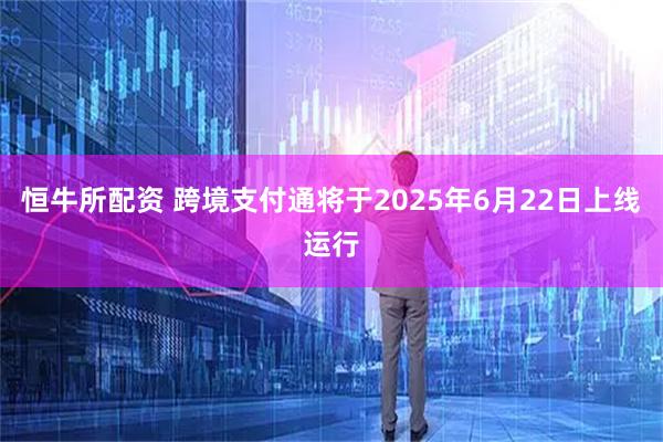 恒牛所配资 跨境支付通将于2025年6月22日上线运行