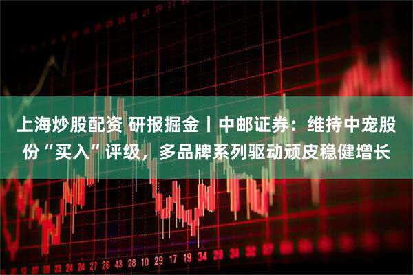 上海炒股配资 研报掘金丨中邮证券：维持中宠股份“买入”评级，多品牌系列驱动顽皮稳健增长