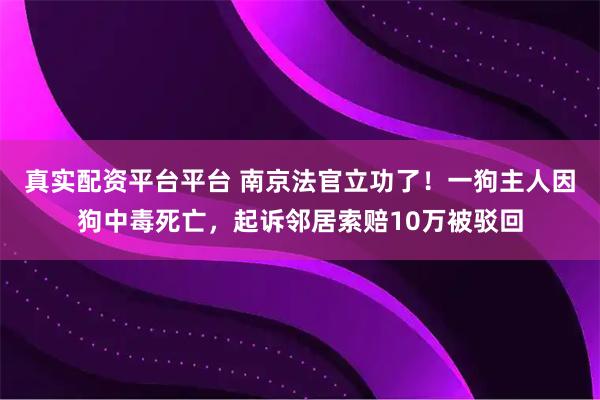 真实配资平台平台 南京法官立功了！一狗主人因狗中毒死亡，起诉邻居索赔10万被驳回