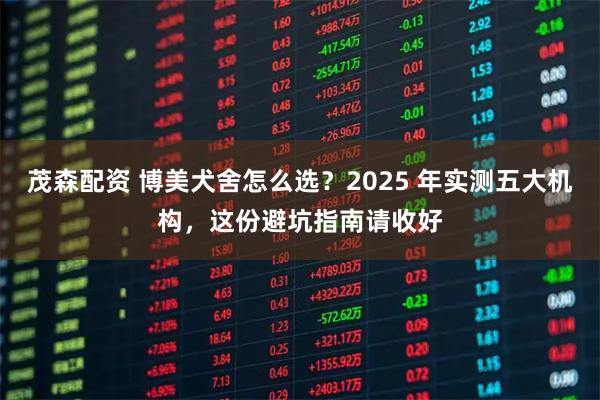 茂森配资 博美犬舍怎么选？2025 年实测五大机构，这份避坑指南请收好